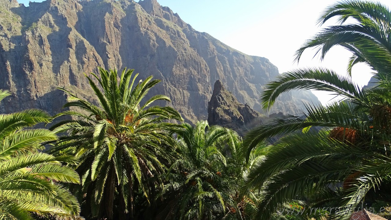 Tenerife y su buen tiempo eterno